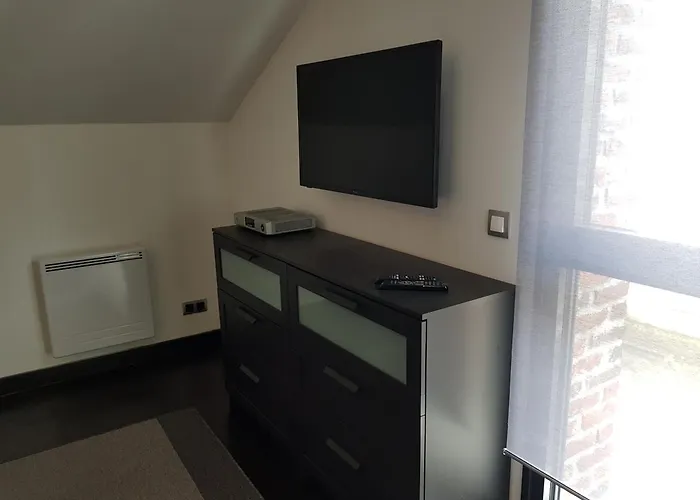 Appartement Loft Croix Lille