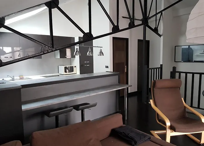 Appartement Loft Croix Lille