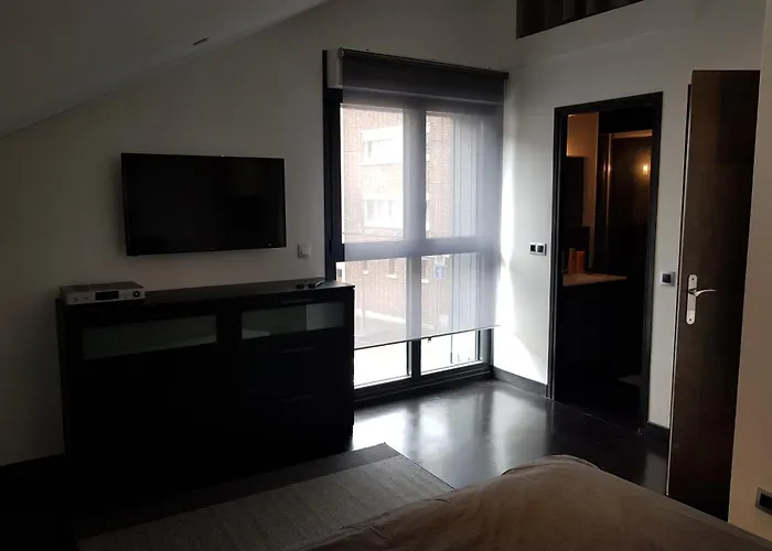 Appartement Loft Croix Lille