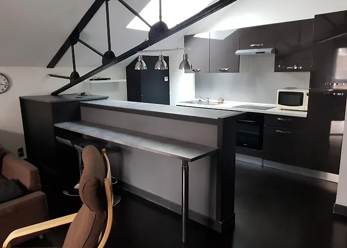 Appartement Loft Croix Lille